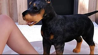 xnxx 63